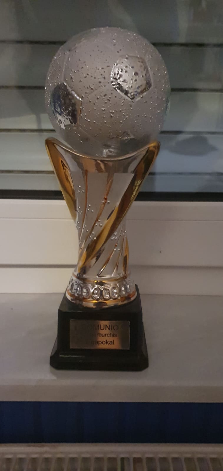 Liga-Pokal